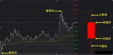 飞狐最新板块操作指南，从入门到进阶详解