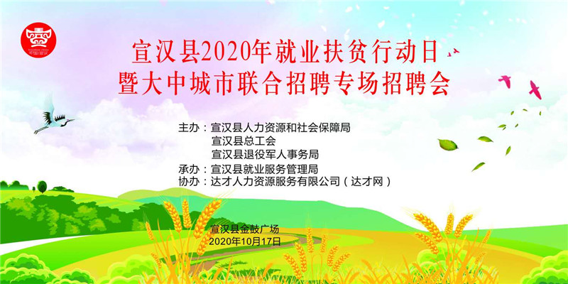 最新宣汉招聘信息，家的温馨故事与职业发展的交汇点