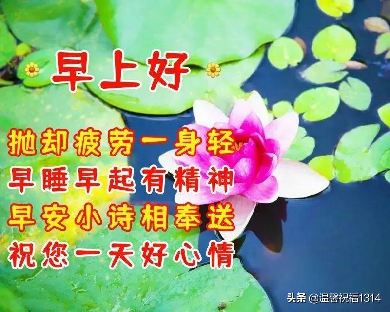 世界上最新国家，一段温馨的友情日常