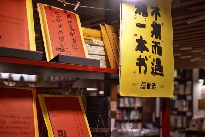 护士最新政策与小巷中的隐藏宝藏，特色小店的奇妙之旅探索