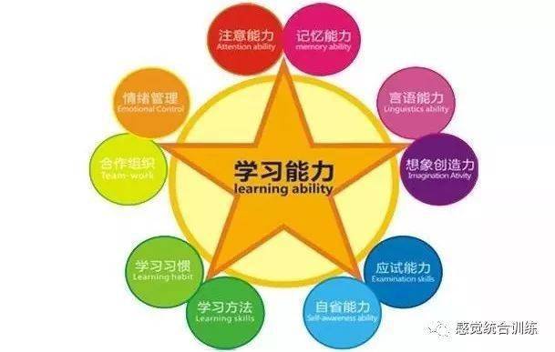 最新猕猴桃品种，变化、学习与自信的力量驱动发展