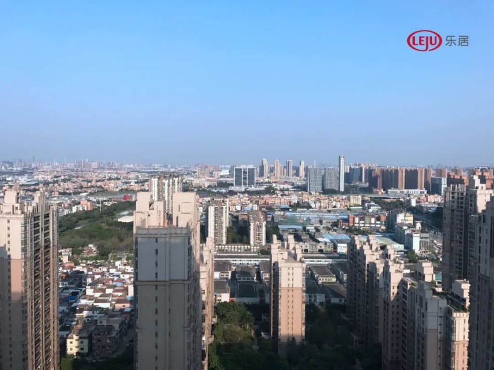 广州新塘，城市发展的微观视角与宏观影响的最新报道