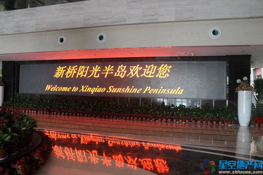 新桥阳光半岛最新消息,新桥阳光半岛最新消息