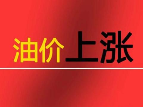 小巷深处的惊喜，特色小店最新资讯分享