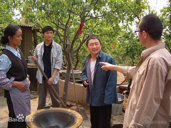 农村喜剧电视剧，多维度观点下的深度解析
