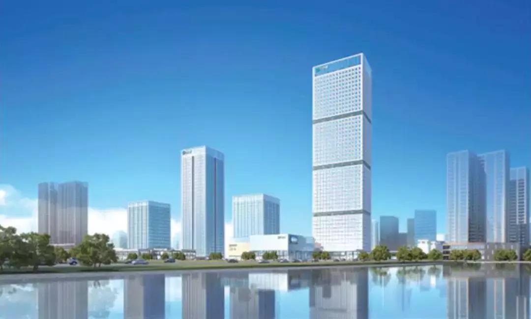 九州通股票股吧的日常故事，股市中的温情纽带