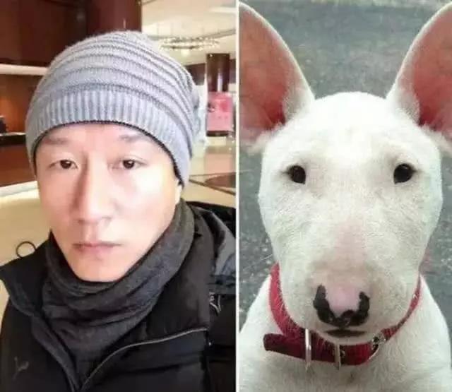 动物面孔的明星，探索自然美景的奇妙之旅