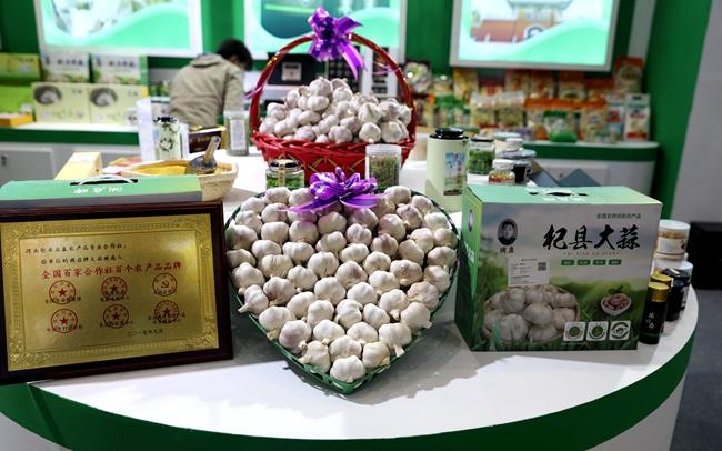 杞昙大蒜最新市场价格，变化中的机遇与成就感的源泉